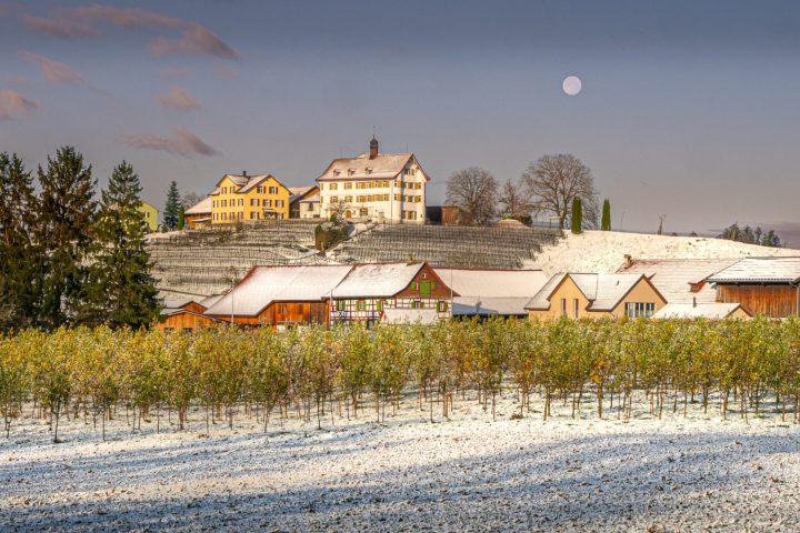 Schloss-mit-Fecker_3-scaled